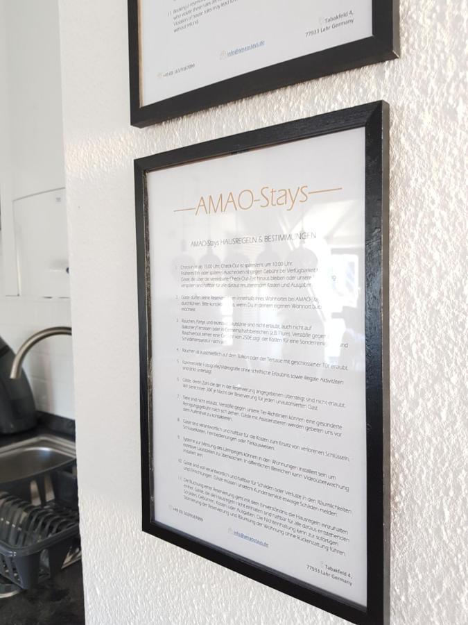 Amao-Green I 90Qm I Penthouse Maisonette Mit Rooftop I City Center I King-Size Betten Lahr (Baden-Wurttemberg) Exterior foto