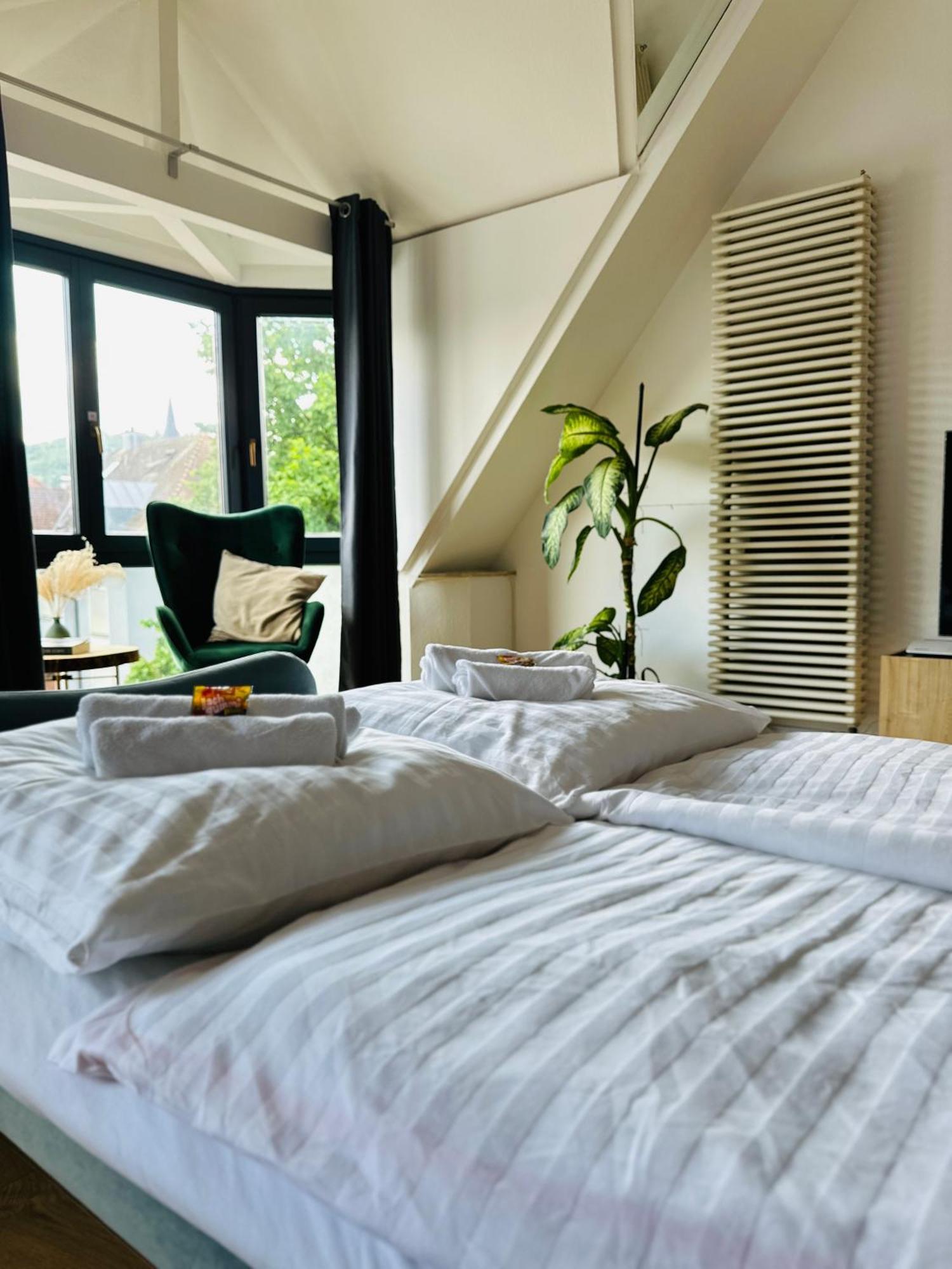 Amao-Green I 90Qm I Penthouse Maisonette Mit Rooftop I City Center I King-Size Betten Lahr (Baden-Wurttemberg) Exterior foto